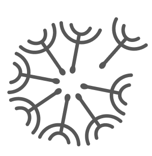 decor-image